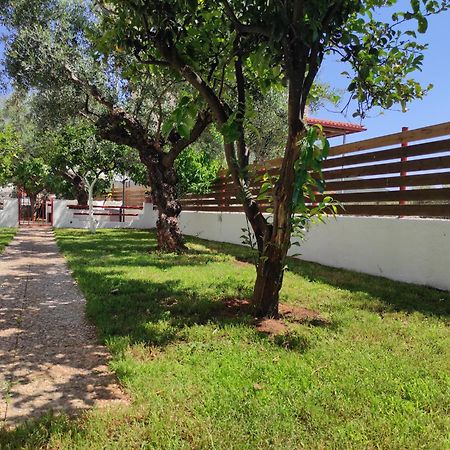 George'S Houses Riglia Bilik gambar